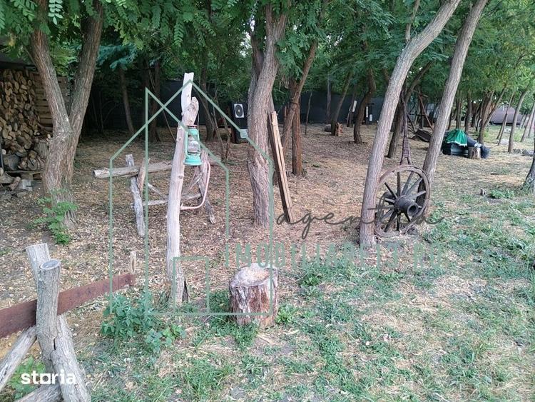 Domeniu, Afacere de vanzare, Sebes, Alba, balta pescuit, ferma lavanda - 12