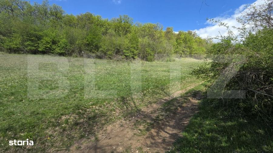 Spațiu comercial, în Pădure