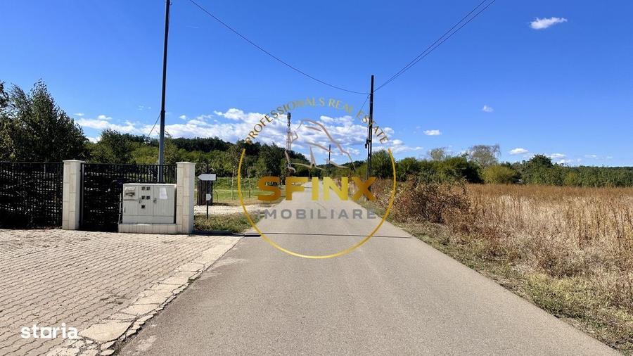 Corbeanca 5000 mp | deschidere 22 m la drum asfaltat | padure | utilit - 1