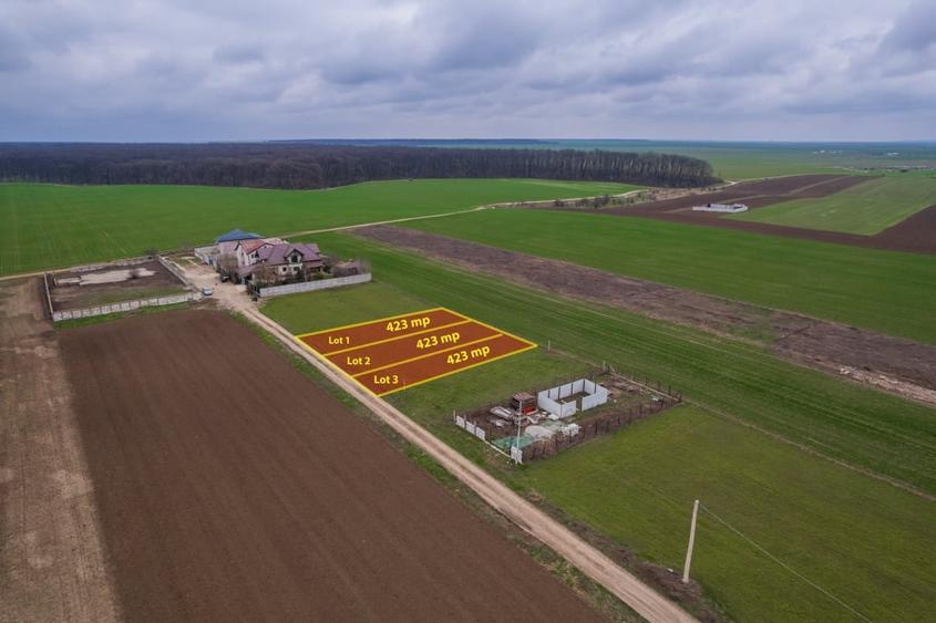 Teren Construcții intravilan de 423 mp, în Frumușani