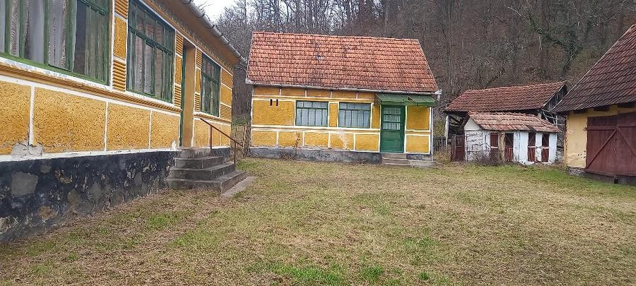 Casă cu Teren 6400 Mp în Petriș