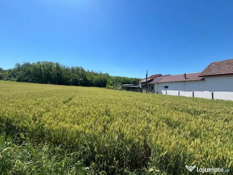 Meline?ti, Amara?ti - Teren intravilan cu vedere la pad - 1