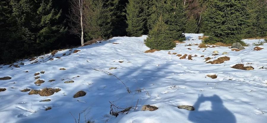 Teren de 300 mp, în Râu de Mori