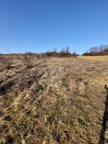 Teren Construcții extravilan de 2100 mp, în Sud