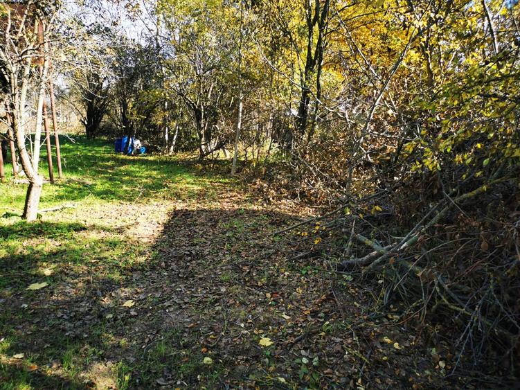 Casă individuală cu 2 camere cu Teren 2500 Mp în Gruiu