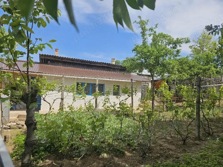 Teren de 2000 mp, în Brădești