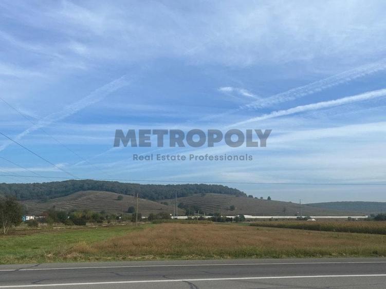 Teren Construcții intravilan de 7000 mp, în Cristian