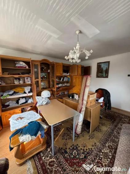 Casă cu 3 camere cu Teren 3300 Mp în Coltău