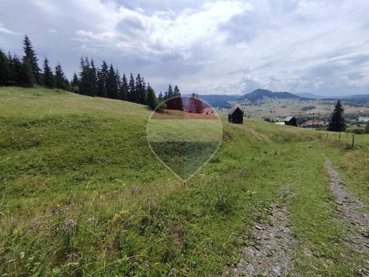 Teren Construcții intravilan de 33364 mp, în Dorna Candrenilor
