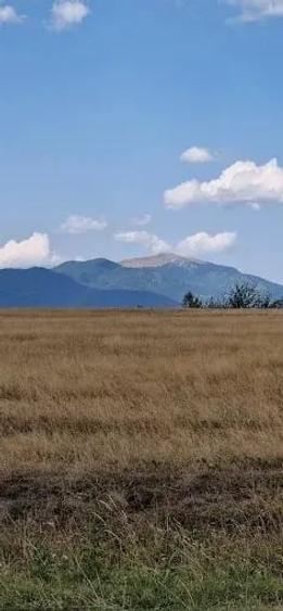 Teren în Teișani