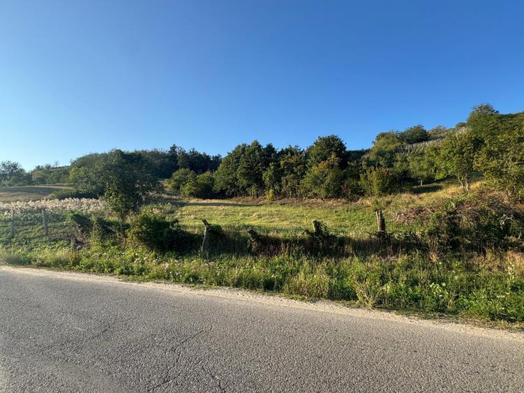 Teren de 1500 mp, în Boianu Mare
