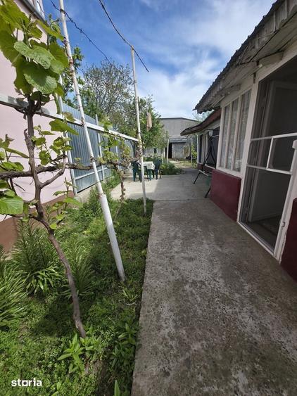 Casă cu 4 camere cu Teren 264 Mp în Radu Negru