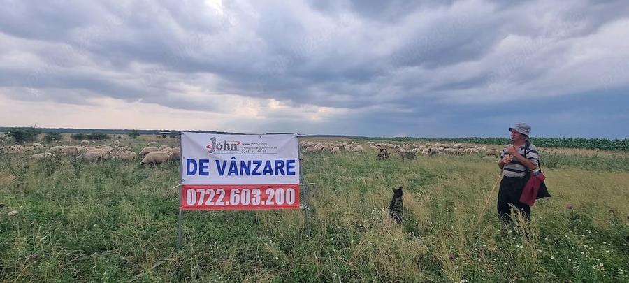 Teren de 10000 mp, în Furduești