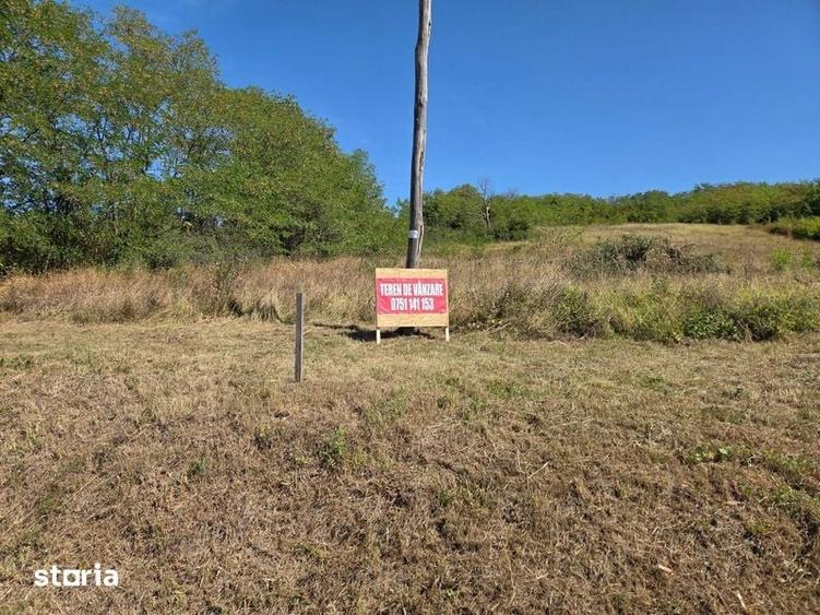 Teren de 5000 mp, în Teiu