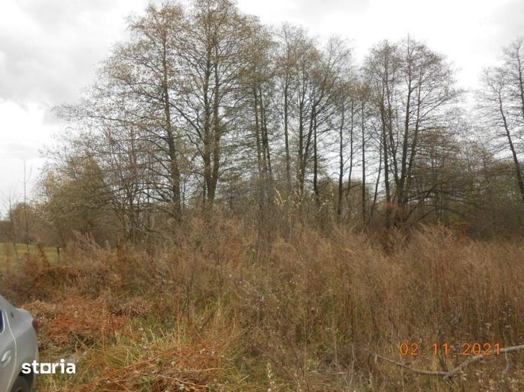Teren de 2740 mp, în Bran