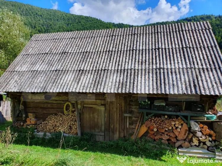 Teren de 3015 mp, în Arieșeni