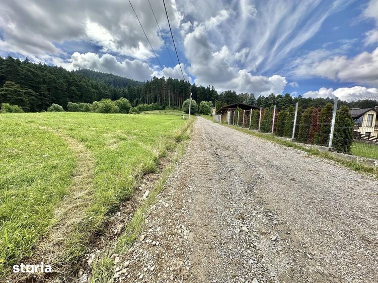Teren intravilan de vanzare Sacele, Str. Highi?ului 3.600 mp - 6