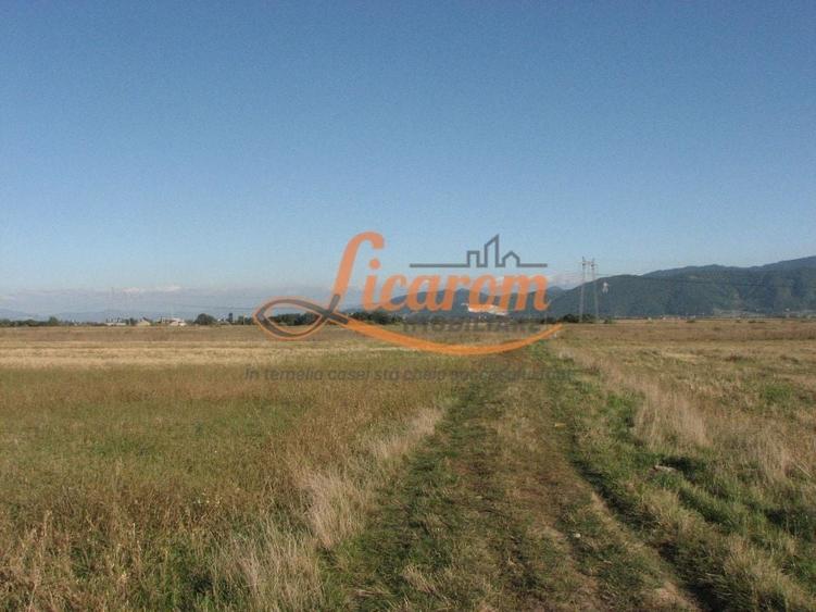 Teren Construcții intravilan de 240000 mp, în Exterior Est