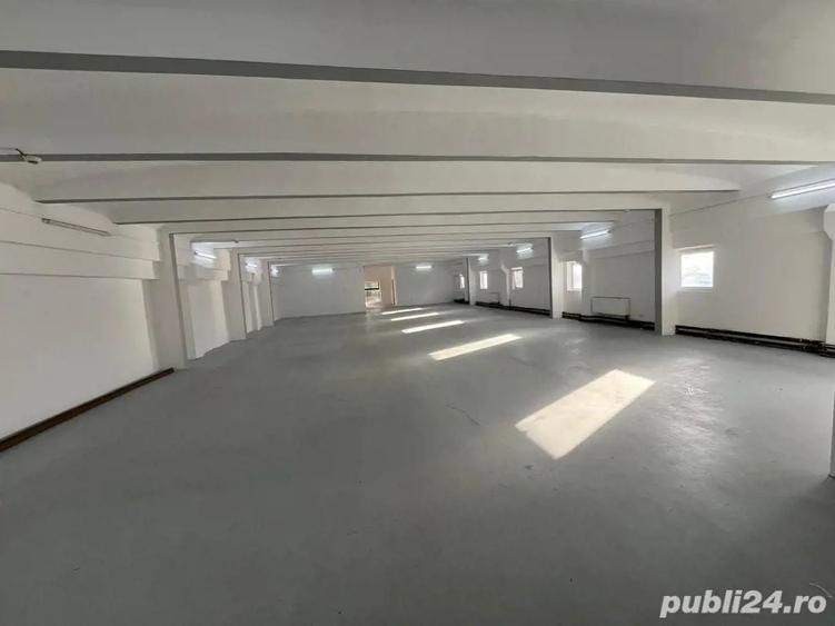Spațiu comercial, de 700 mp, în Lipovei