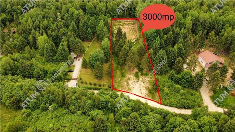 Teren intravilan de 3000 mp, în Porumbacu de Sus