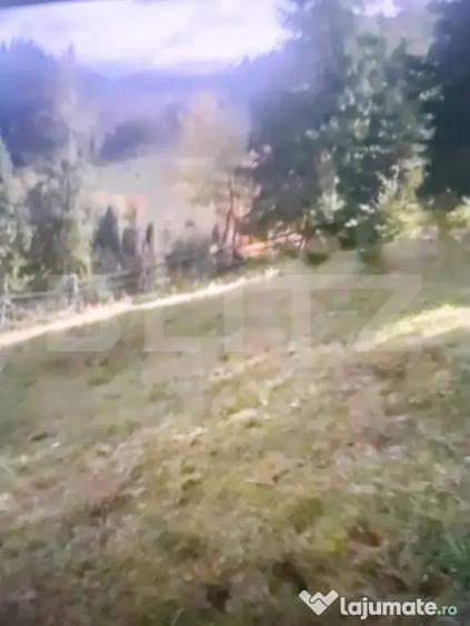 Teren extravilan in comuna Panaci, 15000 mp, oportuintate u - Suceava (Suceava) - 1