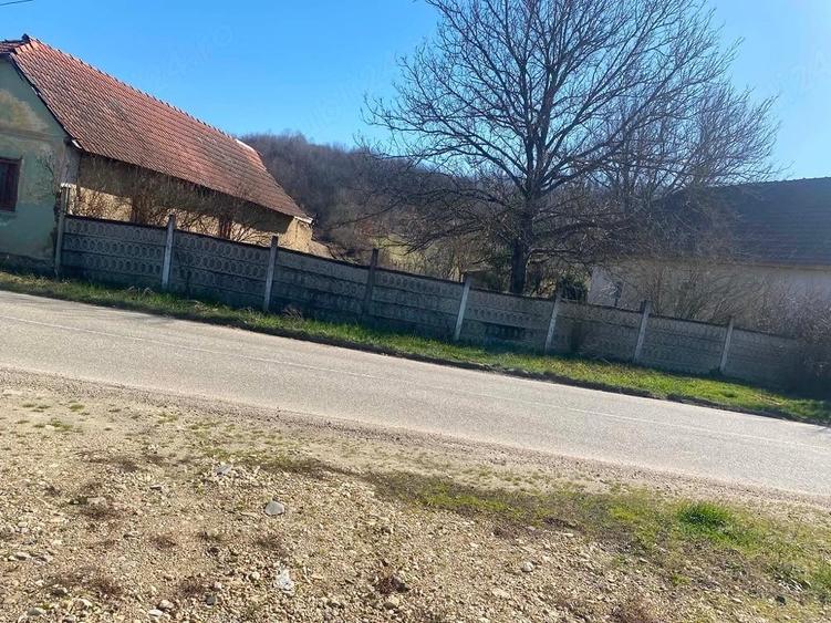 Casă cu Teren 11000 Mp în Fârdea