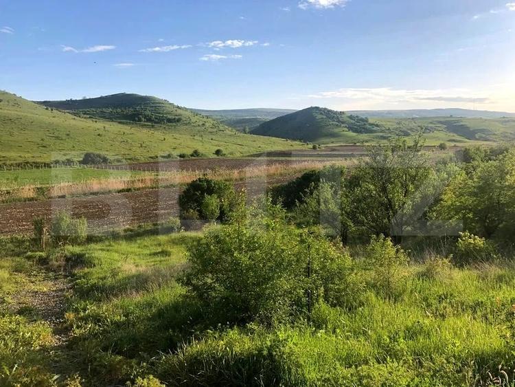Teren Construcții intravilan de 1000 mp, în Pata
