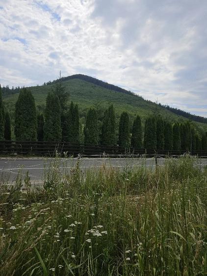 Teren de 5500 mp, în Hurez