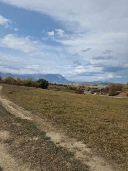 Teren in Rasnov-Brasov - 5