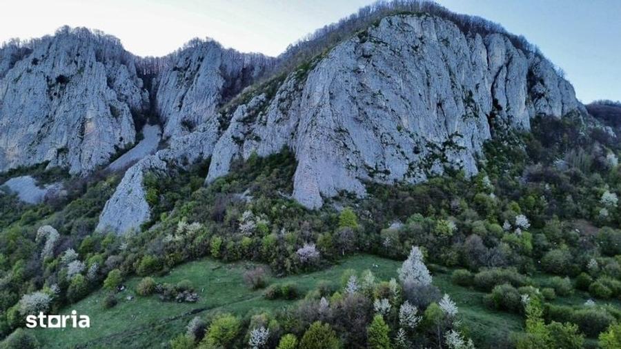 Teren de 35000 mp, în Ciuruleasa