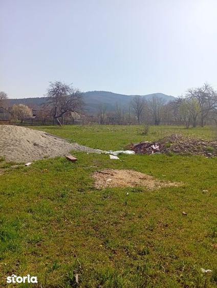 Teren de 1000 mp, în Central