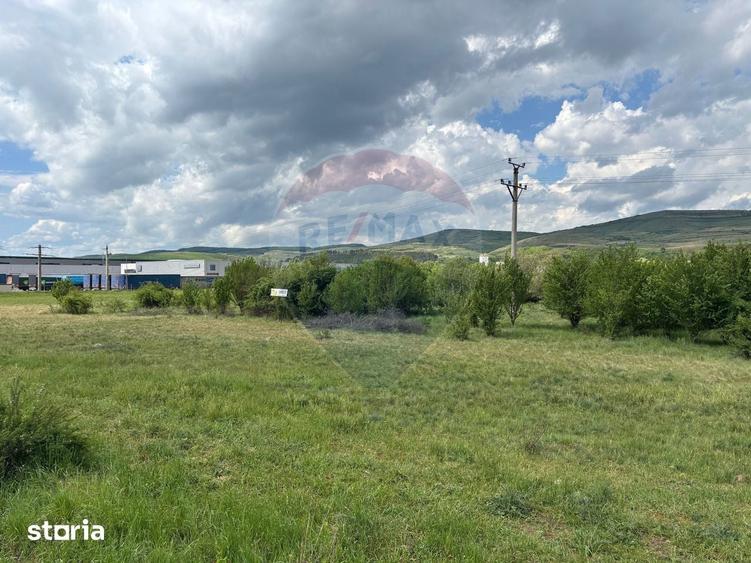 Teren de vanzare 13783mp, front la DN, parcela unica zona de vest - 1