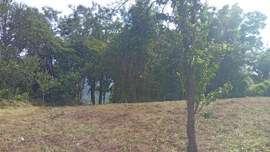 Casă individuală cu 5 camere cu Teren 9515 Mp în Șerbănești (Sălătrucel)