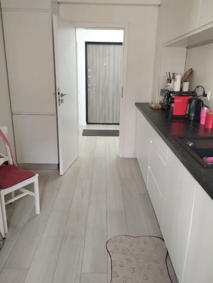 Apartament cu 2 camere, mobilat în Theodor Pallady