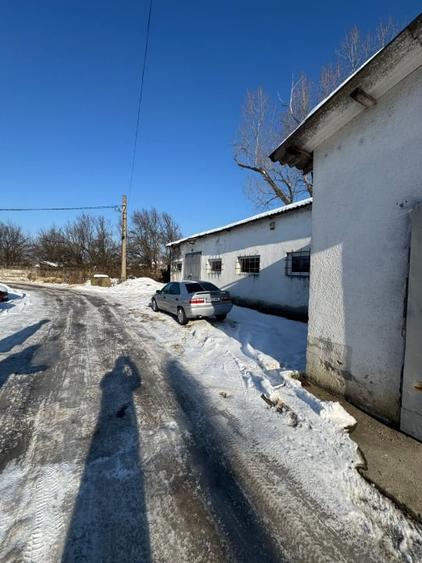 Hală 330 mp cu teren 10 ari, zonă Tanatorio - 6