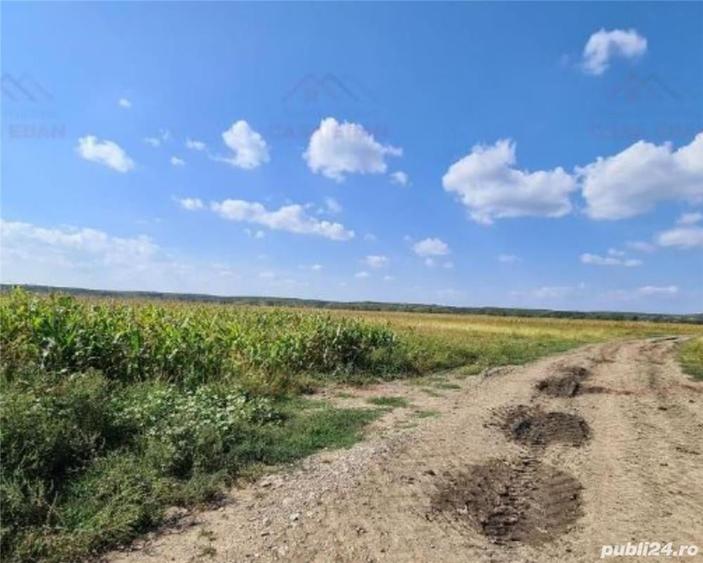 Teren de 7444 mp, în Dărmănești