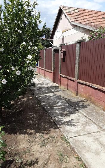 Casă cu 2 camere cu Teren 2700 Mp în Central