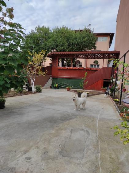 Casă individuală cu 9 camere cu Piscina în Dristor