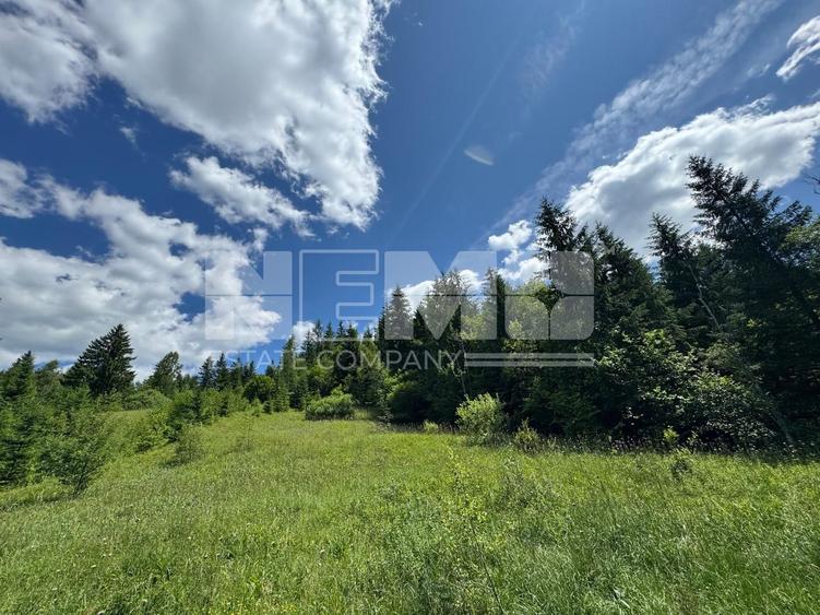 Teren extravilan de 23520 mp, în Periferie