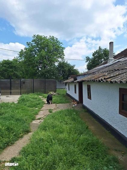 Casă cu 3 camere cu Teren 2420 Mp în Central