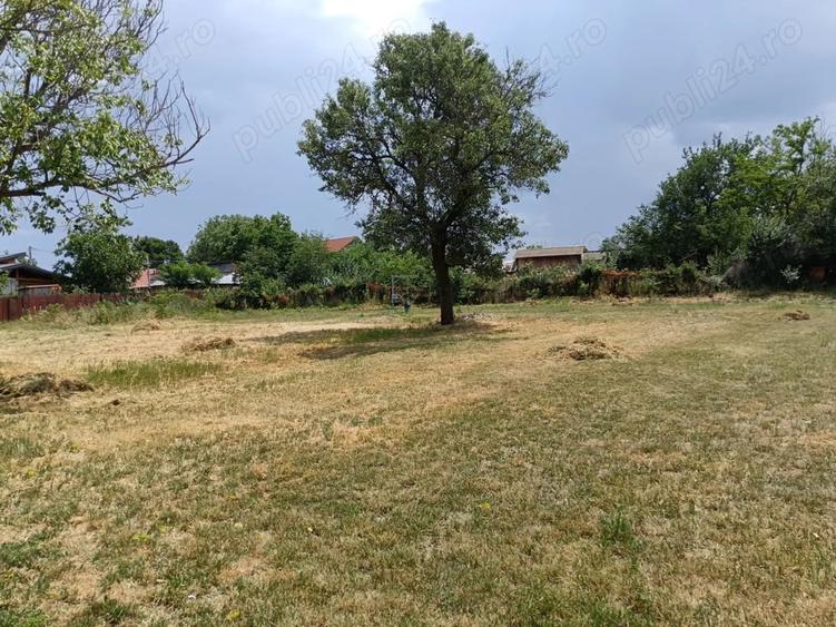 Teren intravilan de vanzare in Uzunu - 6