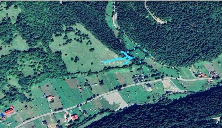 Teren de 3386 mp, în Borca