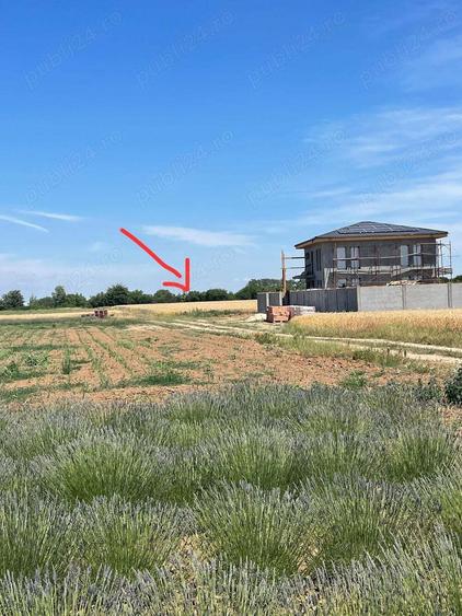 Teren de 631 mp, în Crevedia