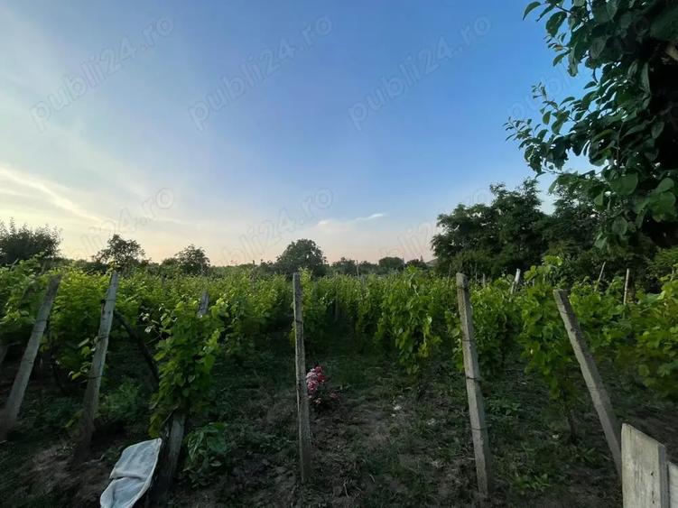Casă cu 3 camere în Scobinți
