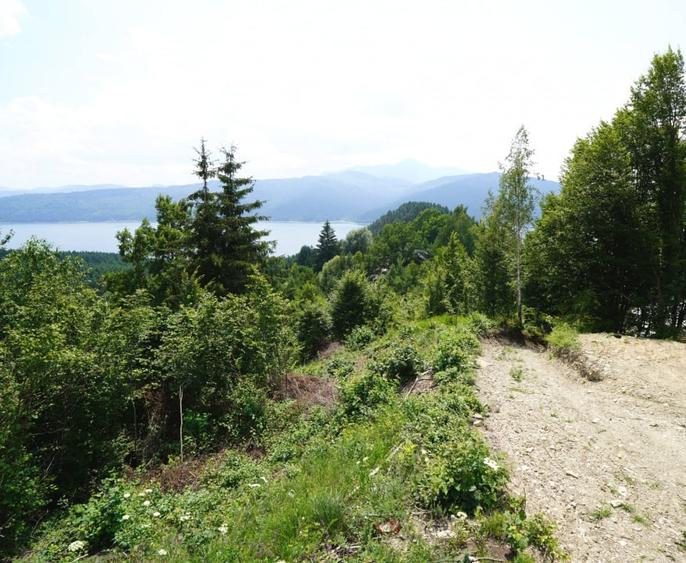 Teren agricol intravilan de 1723 mp, în Hangu