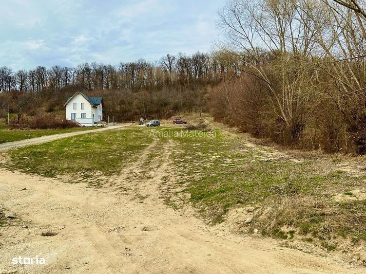 Parcele de vanzare cu utilitati pe strada Ciresilor, Cisnadioara