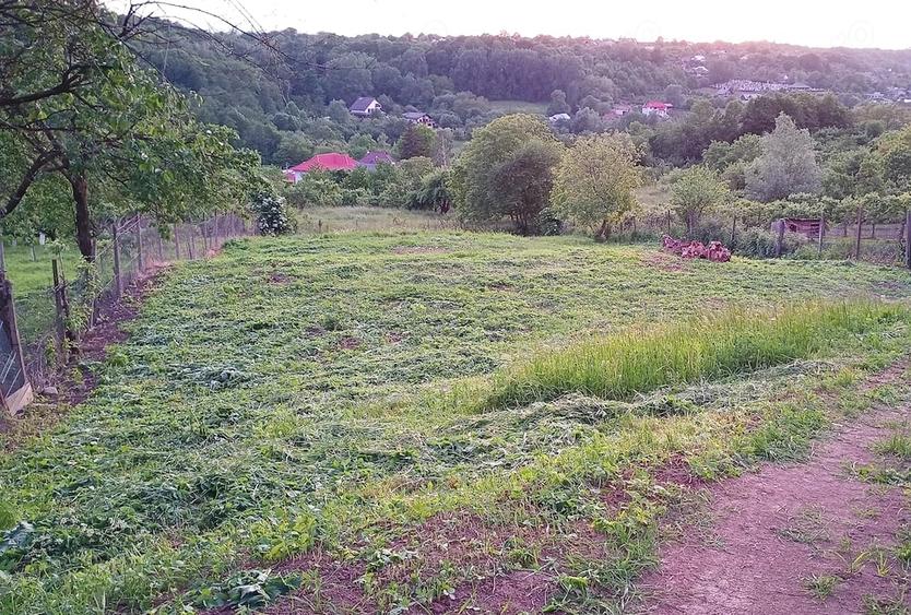 Teren de 1587 mp, în Rădășeni