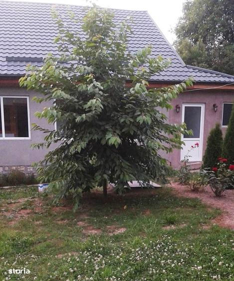 Casă cu 3 camere în Bârsești