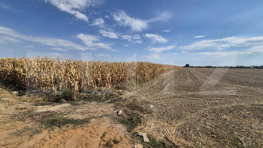 Teren agricol extravilan de 19700 mp, în Nord-Est