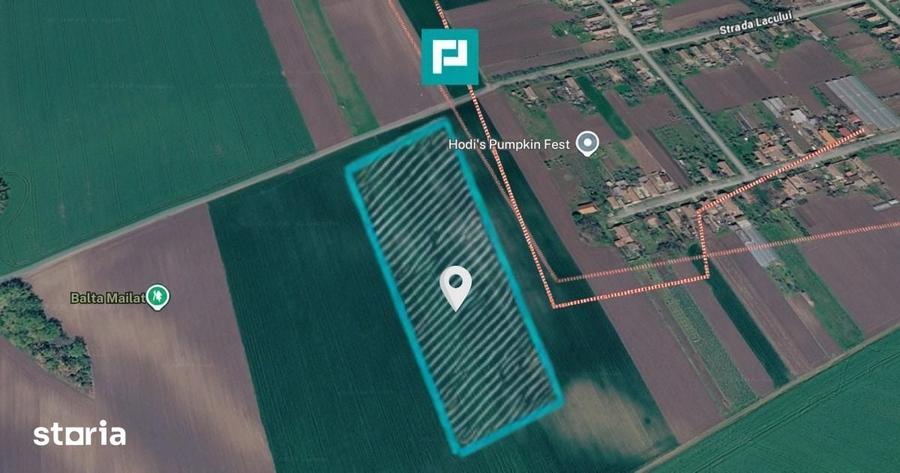Teren de 8600 mp, în Vinga